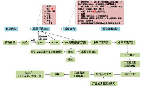 浅谈基于cho系统的蛋白产品研发流程